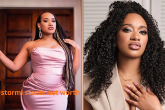 stormi steele net worth