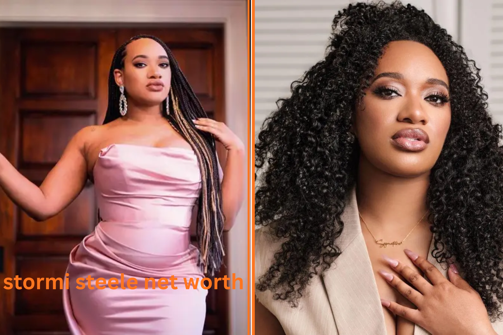 stormi steele net worth